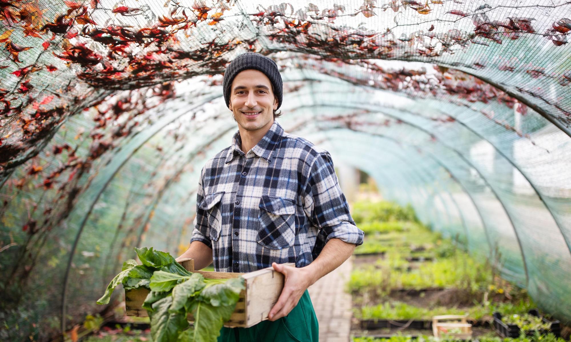 Male garden worker in the greenhouse